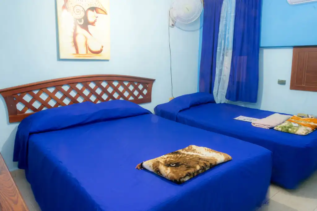 Casa Colonial Mayra y Enrique
