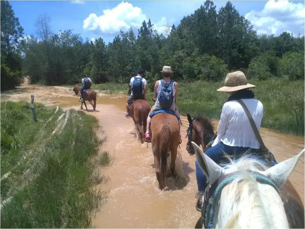 Viñales, Pinar del Rio, Cuba. Ubicada en una zona muy tranquila, climatizada, con caja de seguridad, baño independiente.. Reservas online, Casa Yamileysis y Wilber.