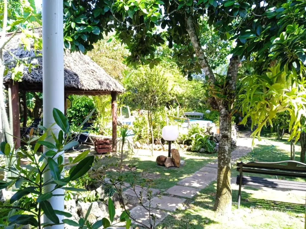 Tu patio en el Sur, (Room 2)