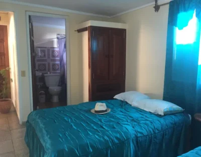 Guanaba’s nest, Room 2